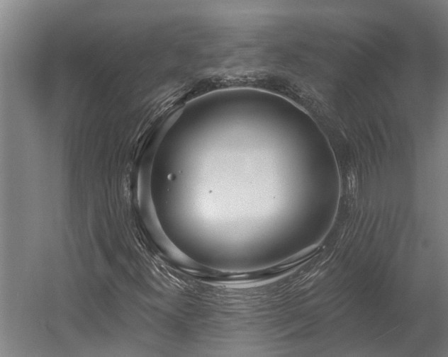 X0000058811300200509301223