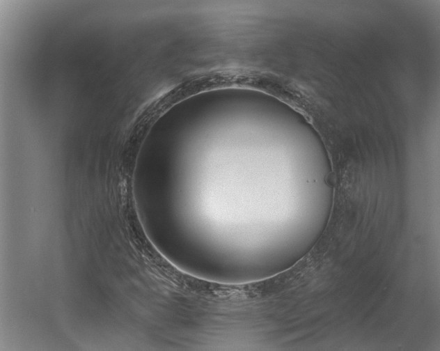 X0000058811302200509301223