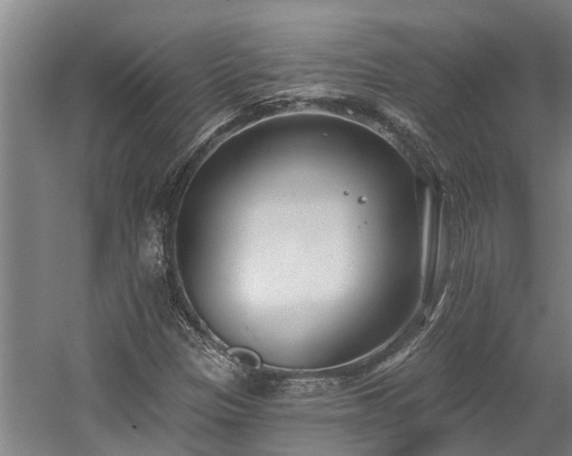 X0000058811305200509301223