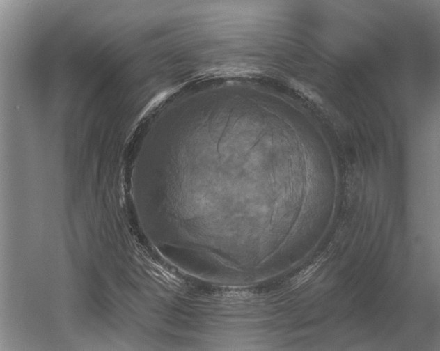 X0000058811306200509301223