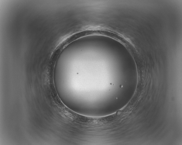 X0000058811311200509301223