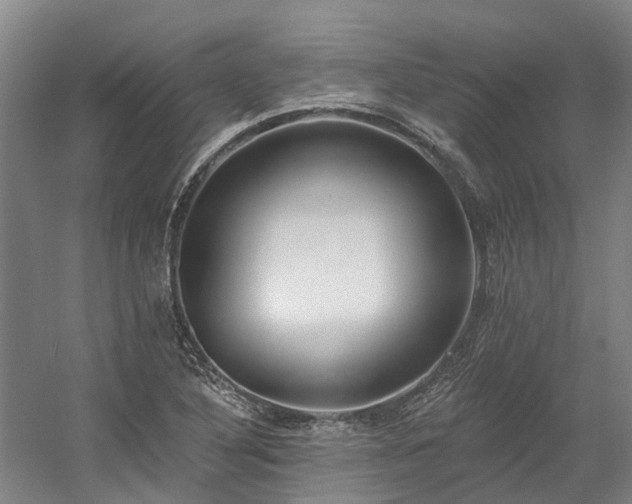 X0000058811316200509301223