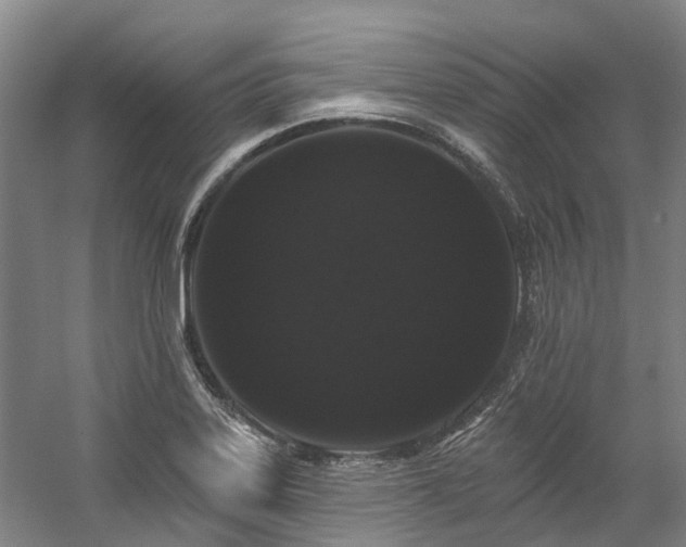 X0000058811323200509301223