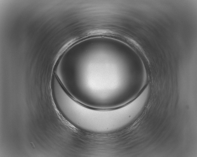 X0000058811330200509301223