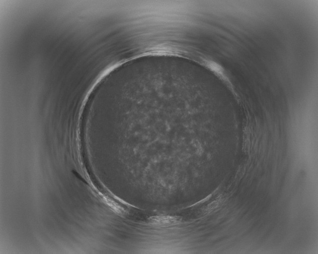 X0000058811331200509301223