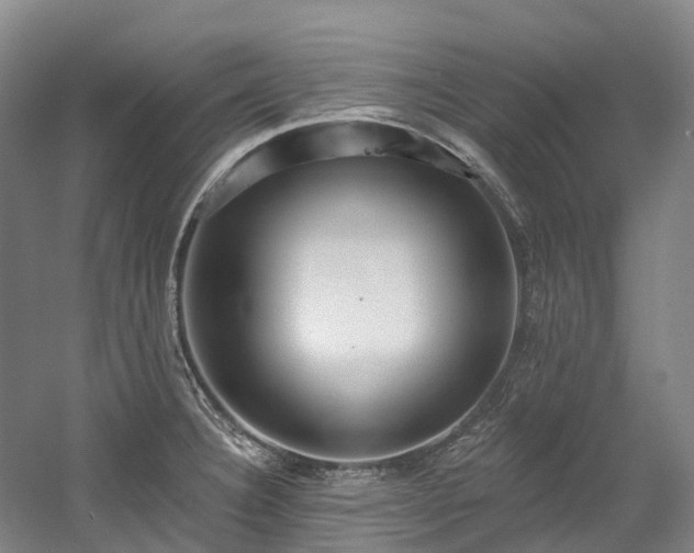 X0000058811332200509301223