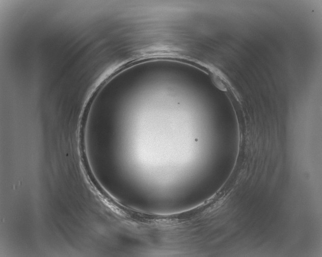 X0000058811333200509301223