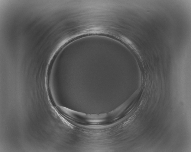 X0000058811334200509301223