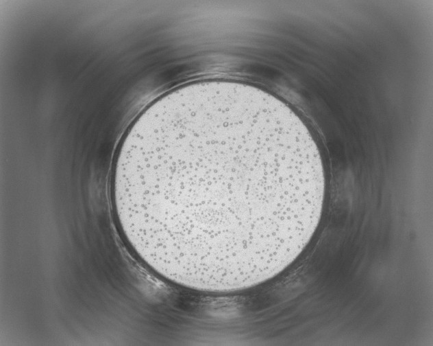 X0000058811338200509301223