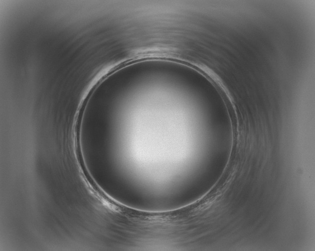 X0000058811341200509301223