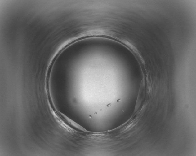 X0000058811342200509301223