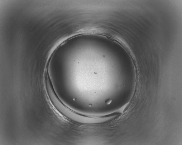 X0000058811344200509301223