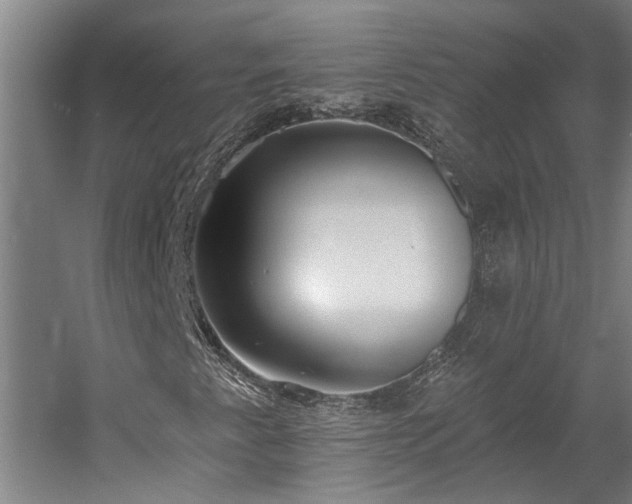 X0000058811345200509301223