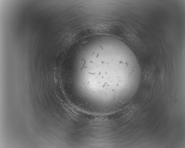 X0000058811346200509301223