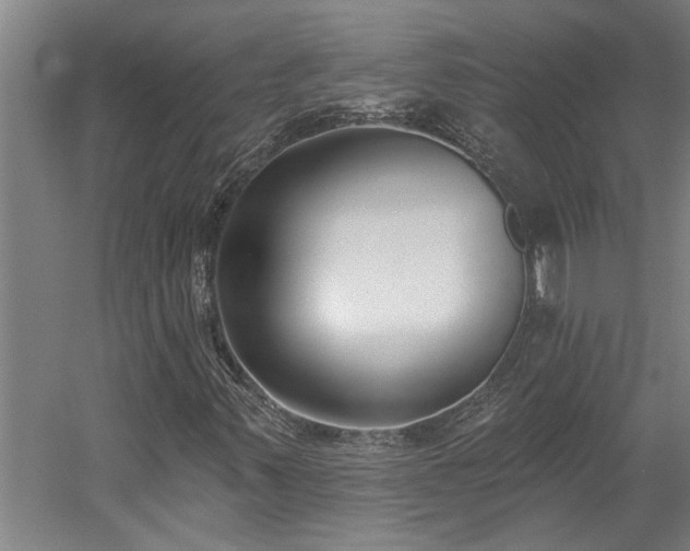 X0000058811347200509301222