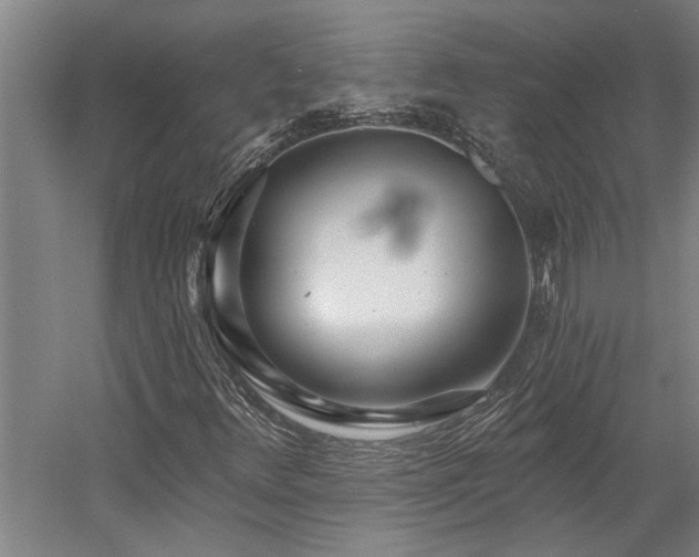 X0000058811348200509301222