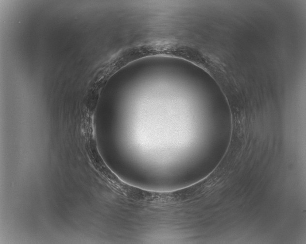 X0000058811349200509301222