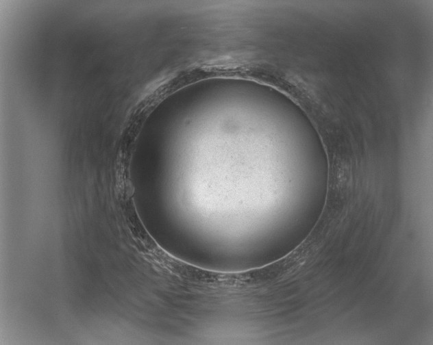 X0000058811350200509301222