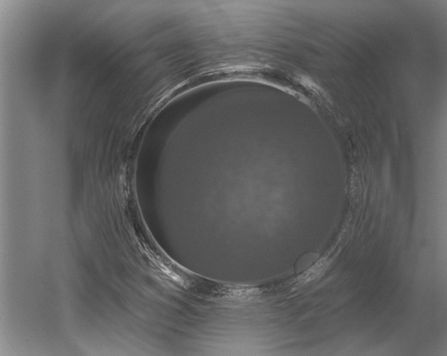 X0000058811353200509301222