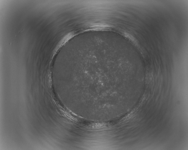 X0000058811362200509301222