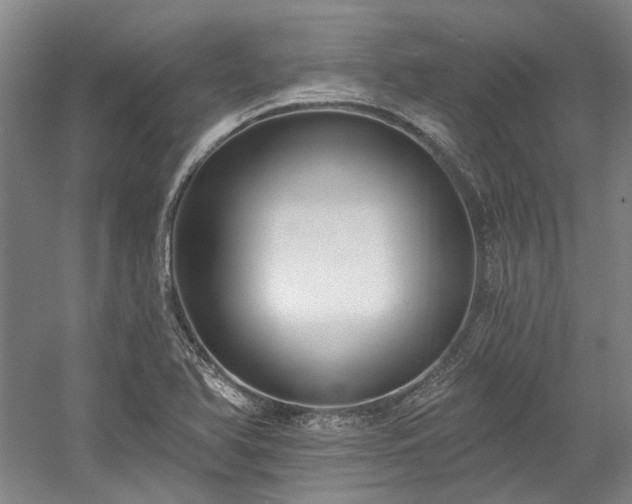 X0000058811366200509301222