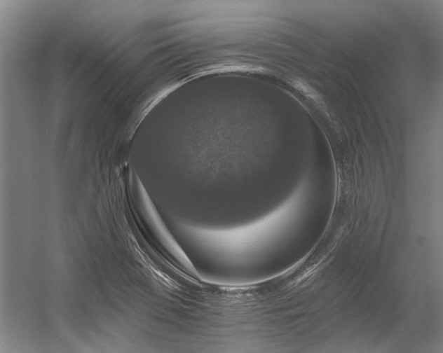 X0000058811369200509301222