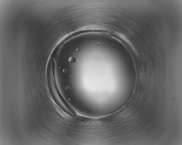 X0000058811372200509301222