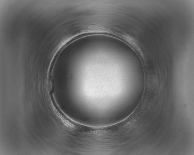 X0000058811380200509301222