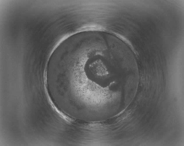 X0000058811383200509301222