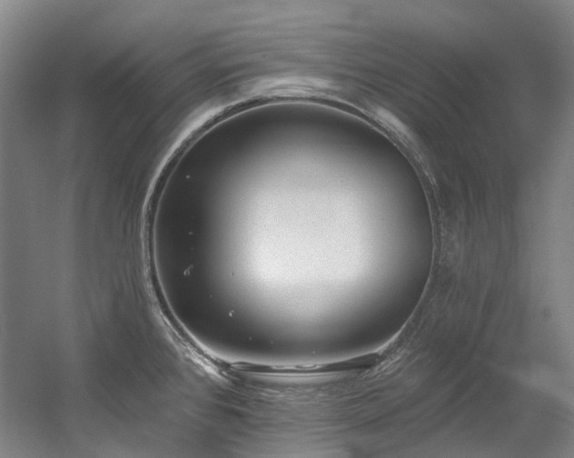 X0000058811384200509301222