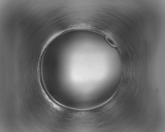 X0000058811387200509301222