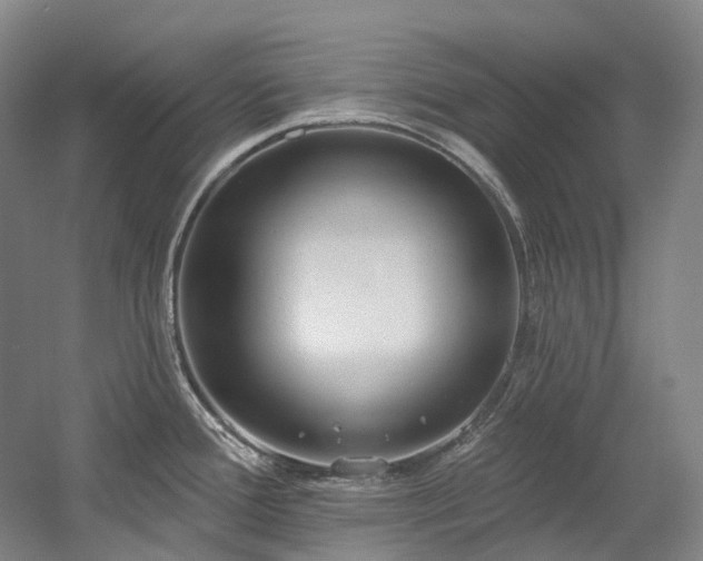 X0000058811388200509301222