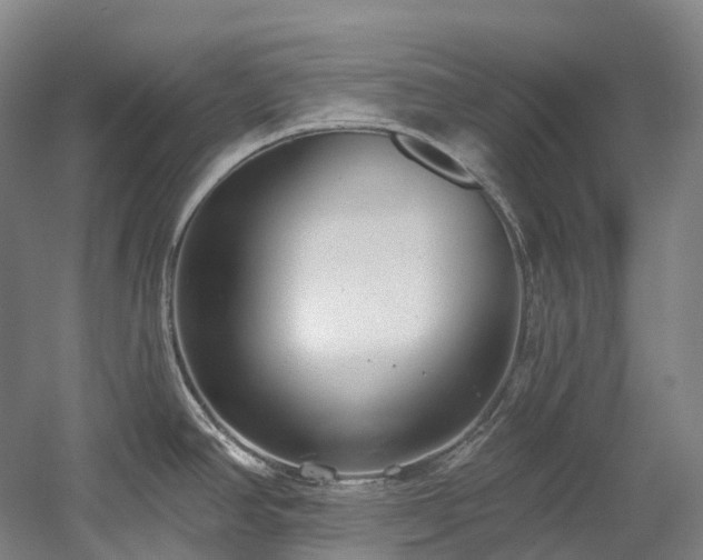 X0000058811390200509301222