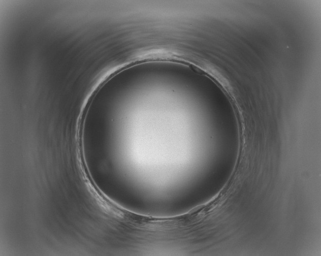 X0000058811392200509301222