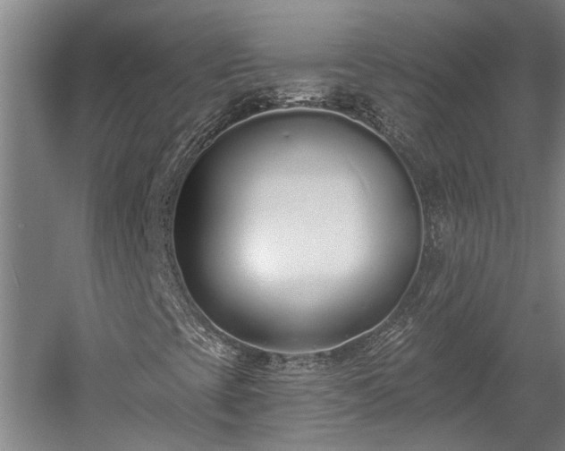 X0000058811393200509301221