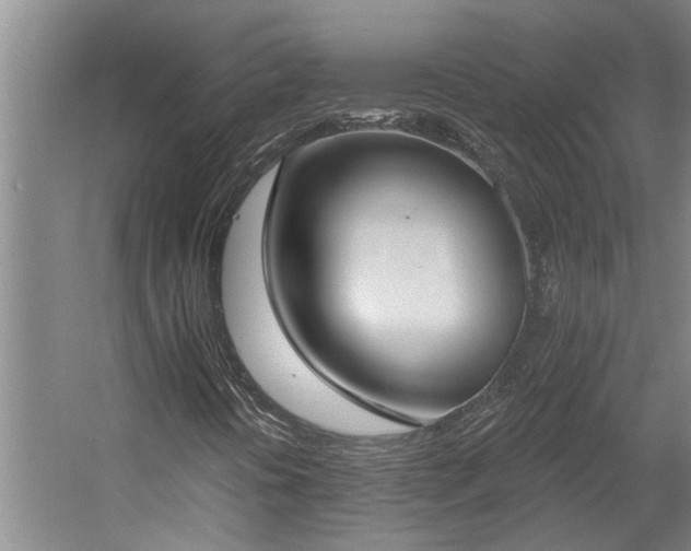 X0000058811394200509301221