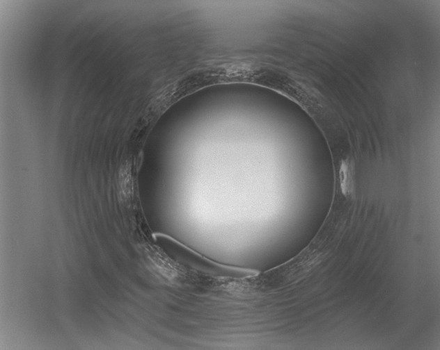 X0000058811395200509301221