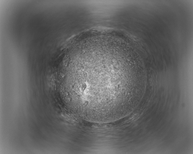 X0000058811397200509301221