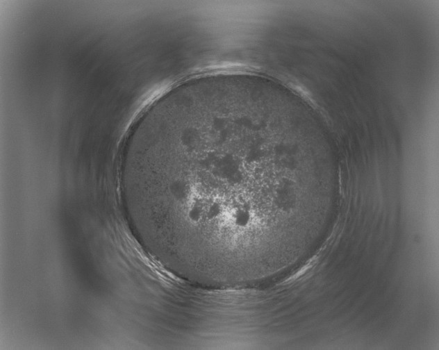 X0000058811405200509301221