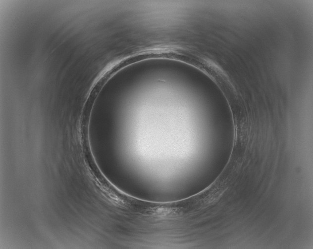 X0000058811412200509301221