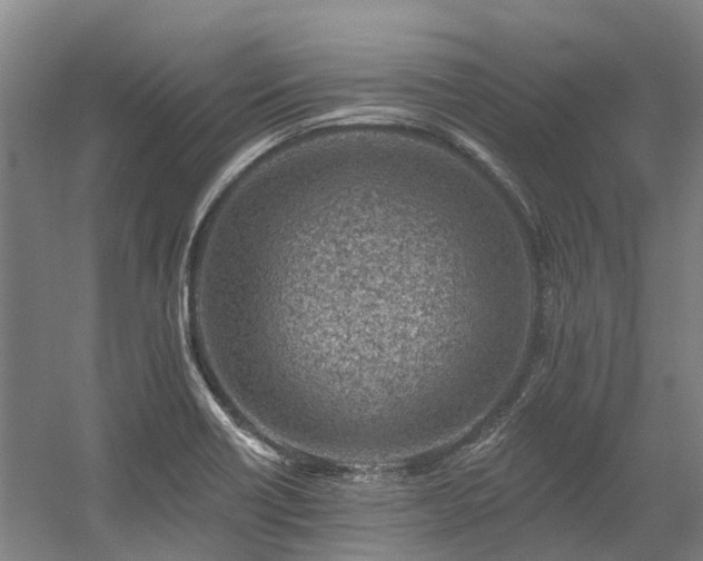 X0000058811418200509301221