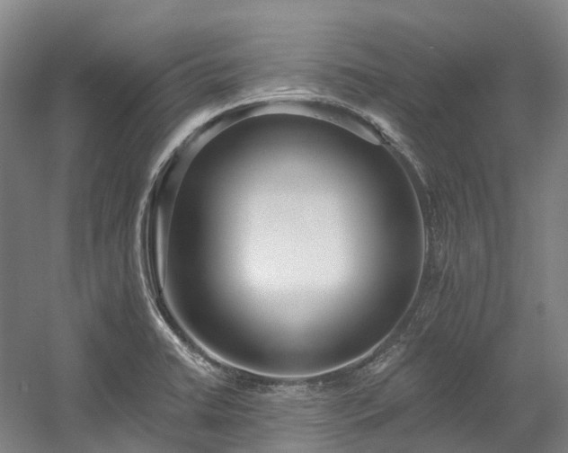 X0000058811422200509301221