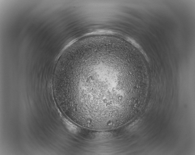 X0000058811425200509301221