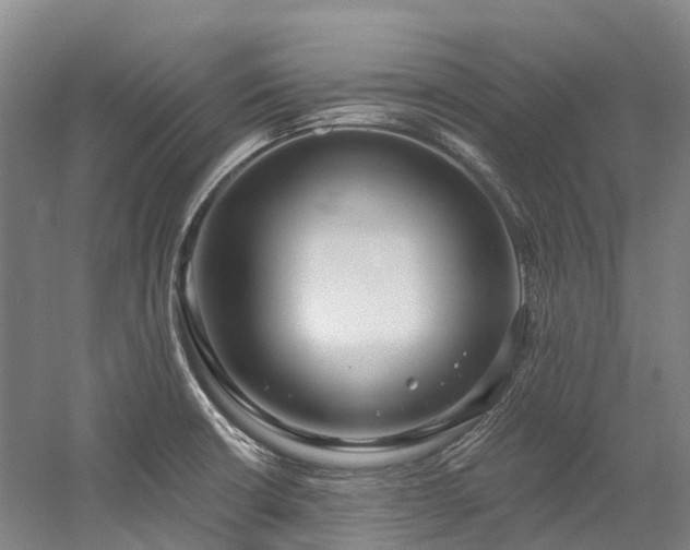 X0000058811426200509301221