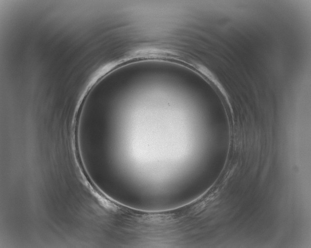 X0000058811437200509301222