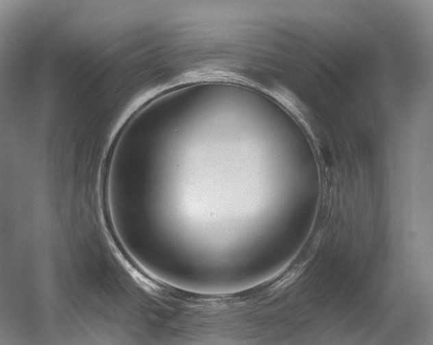 X0000058811438200509301222