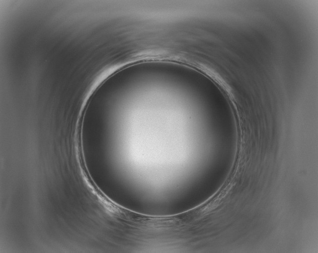 X0000058811440200509301222