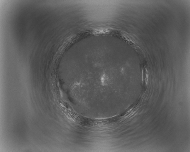 X0000058811441200509301221