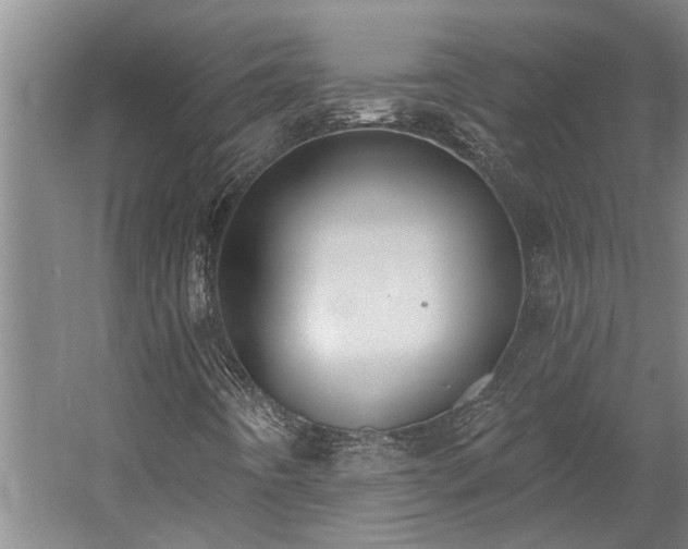 X0000058811442200509301221