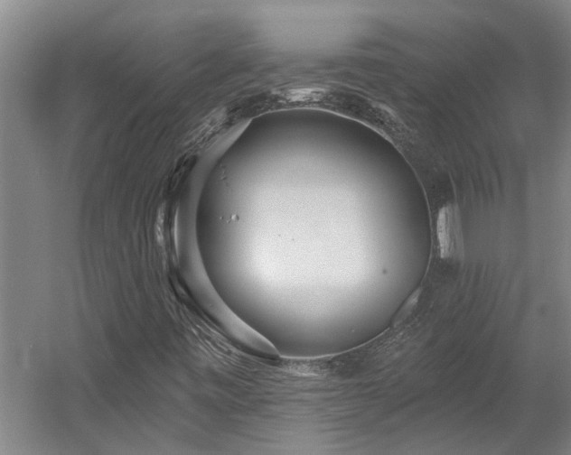 X0000058811443200509301221